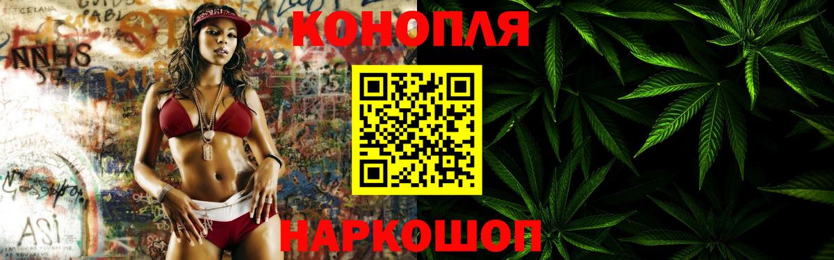 Шишки марихуана гибрид Славгород